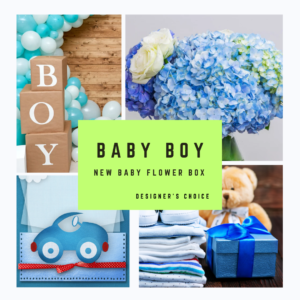 Baby Boy Surprise Flower Box